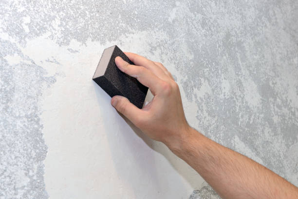 Best Mold Removal for HVAC Installations  in Tanglewilde, WA