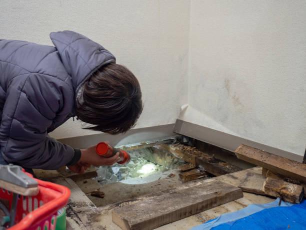 Best HVAC Mold Inspection and Cleaning  in Tanglewilde, WA