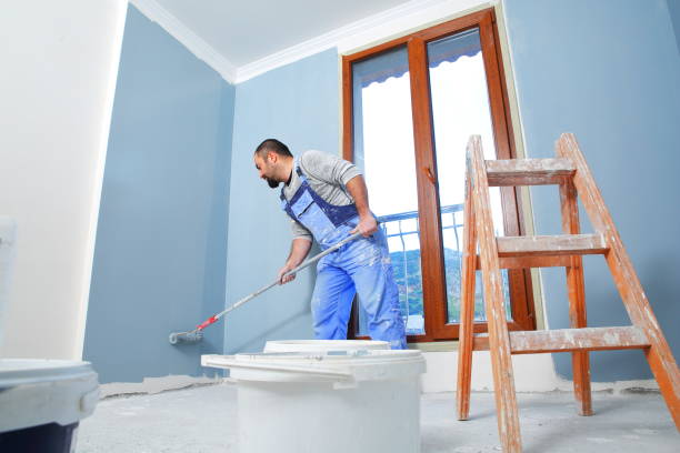Professional Mold Removal in Tanglewilde, WA