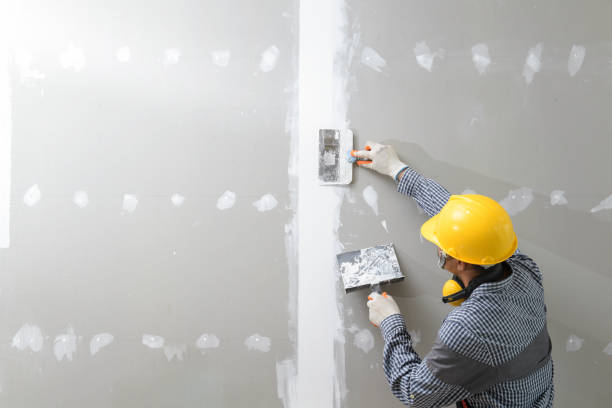 Forensic Mold Investigation in Tanglewilde, WA