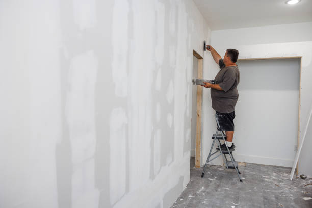 Best Black Mold Removal  in Tanglewilde, WA