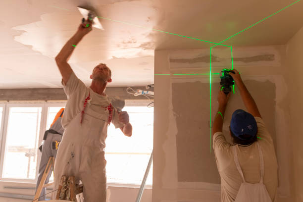 Best Basement Mold Removal  in Tanglewilde, WA