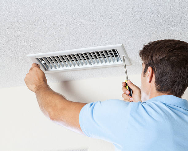 Environmental Consulting for Mold Prevention in Tanglewilde, WA
