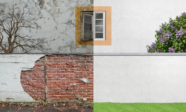 Best Mold Damage Restoration  in Tanglewilde, WA