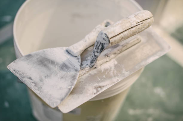 Best Residential Mold Inspection & Testing  in Tanglewilde, WA